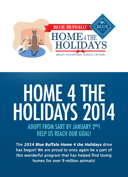 Home 4 the Holidays 2014