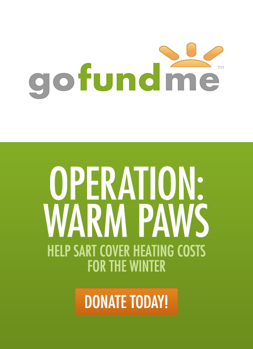 Donate to Operation: Warm Paws